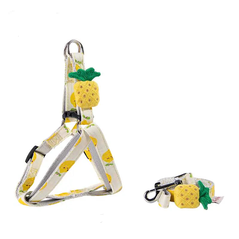 Fruit Parade Dog & Cat Accessories