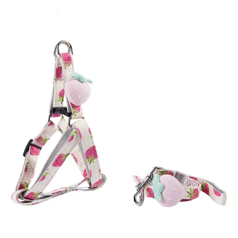 Fruit Parade Dog & Cat Accessories