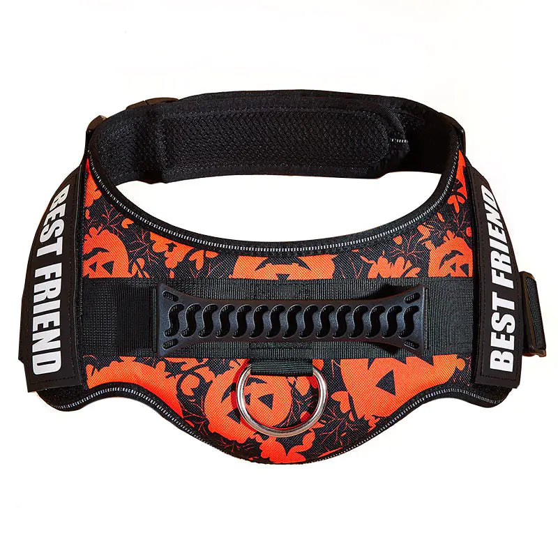 Big Dog Control Harness & Rope