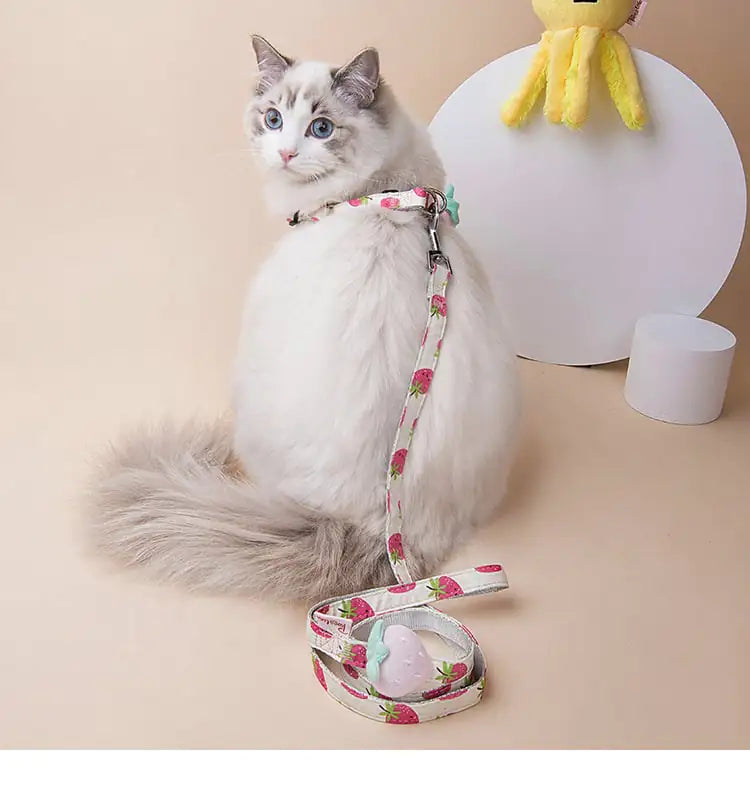 Fruit Parade Dog & Cat Accessories