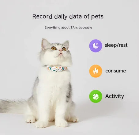 PupStep Activity Tracker