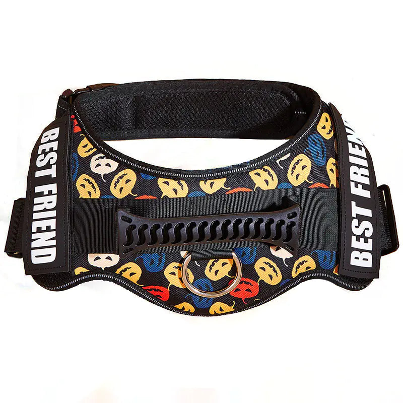 Big Dog Control Harness & Rope