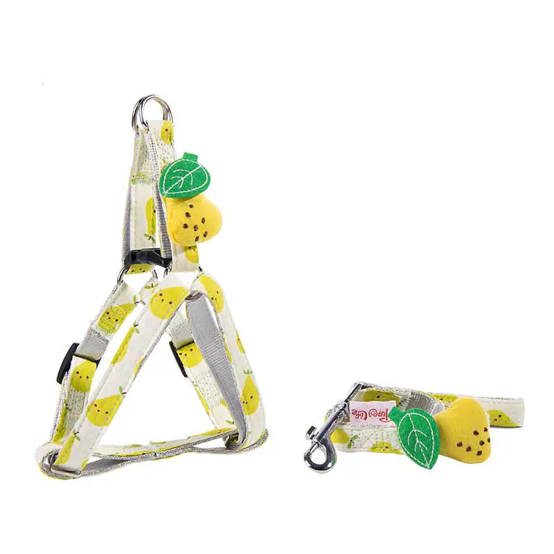 Fruit Parade Dog & Cat Accessories