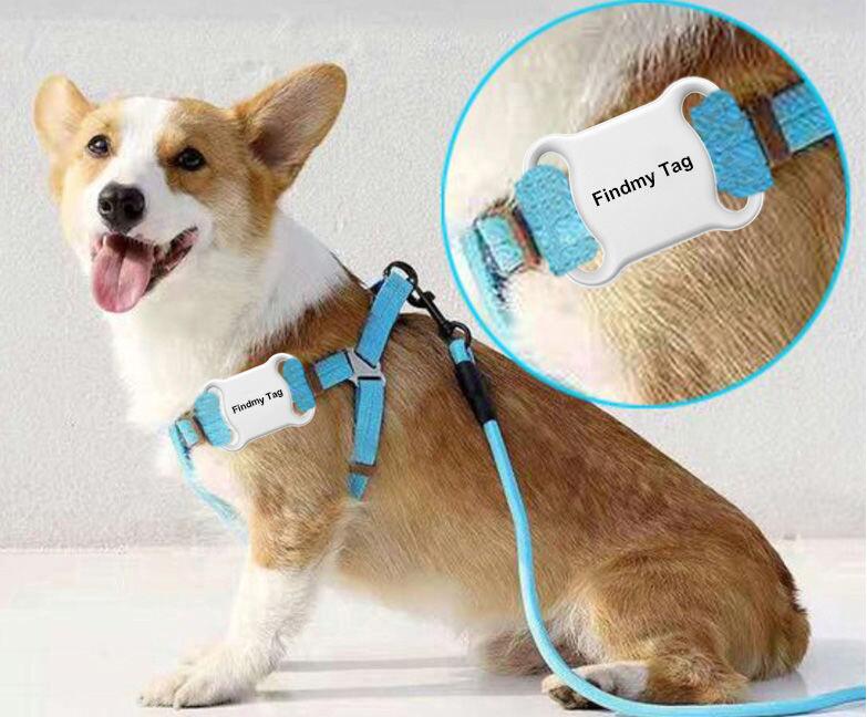 PetSafe GPS Locator Collar - White