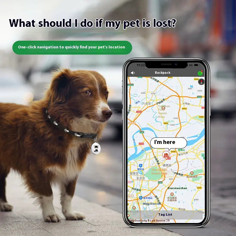 PetSafe GPS Tracker